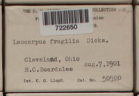 Image Associated With the Occurence